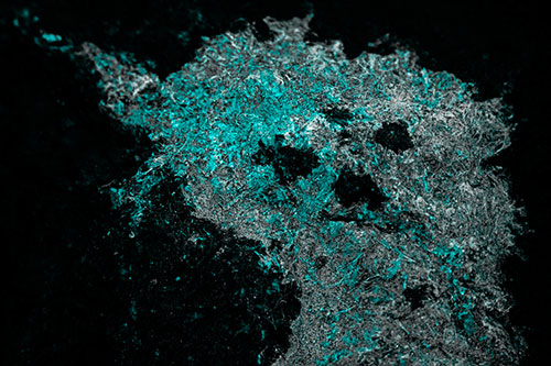Dry Smirking Moss Face Among Damp Rock Surface (Cyan Tone)