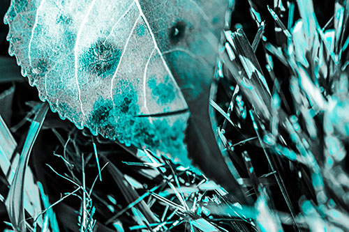 Eye Winking Shadow Smirking Leaf Face (Cyan Tone)