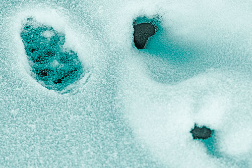 Footprint Eye Snow Face Atop Rock Surface (Cyan Tone)