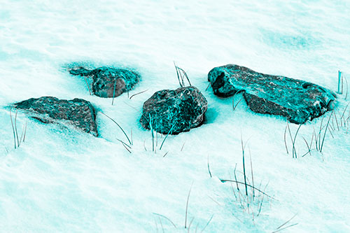 Four Big Rocks Buried In Snow (Cyan Tone Photo)