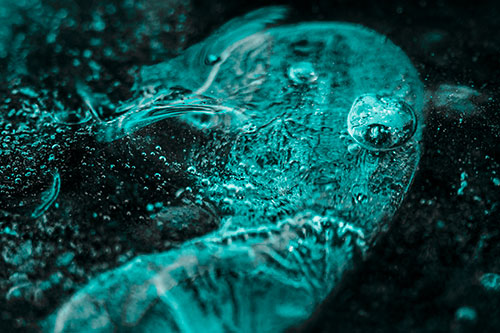 Frozen Distorted Bubble Eyed Ice Face (Cyan Tone Photo)