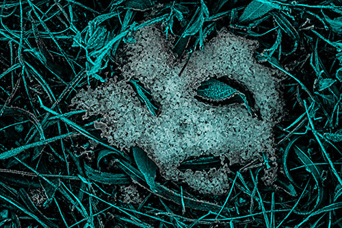 Frozen Leaf Eyed Snow Face Among Frosty Grass (Cyan Tone)