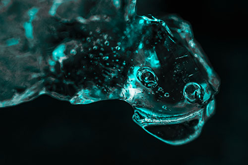 Joyful Frozen Bubble Eyed River Ice Face Creature (Cyan Tone Photo)