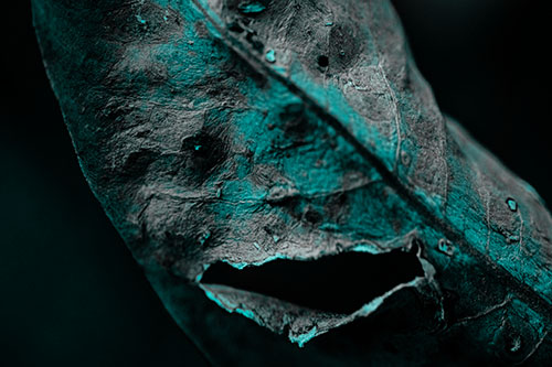Lacerated Mouth Leaf Face Smirking Among Decay (Cyan Tone)