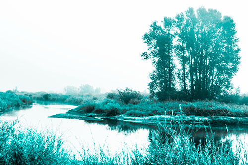 Large Foggy Trees At Edge Of River Bend (Cyan Tone Photo)