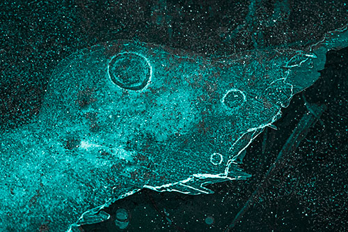Large Headed Bubble Eyed Ice Face Frozen Among River (Cyan Tone)
