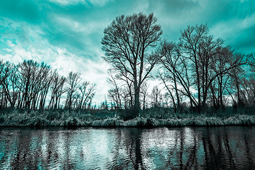 Leafless Trees Cast Reflections Along River Water (Cyan Tone Photo)