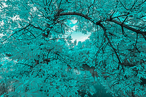 Overlooking River Through Bending Leaf Covered Autumn Tree Branch (Cyan Tone)
