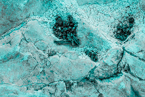 Pebble Eyed Rock Face Cracking Smile (Cyan Tone)