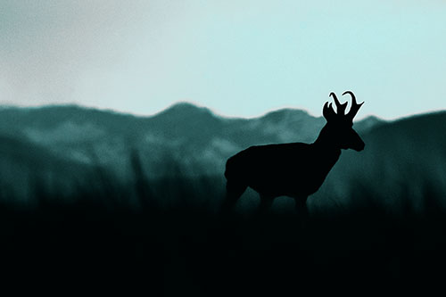 Pronghorn Silhouette Across Mountain Range (Cyan Tone)