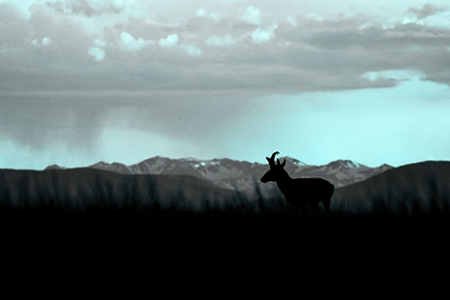 Pronghorn Silhouette Overtakes Stormy Mountain Range (Cyan Tone)