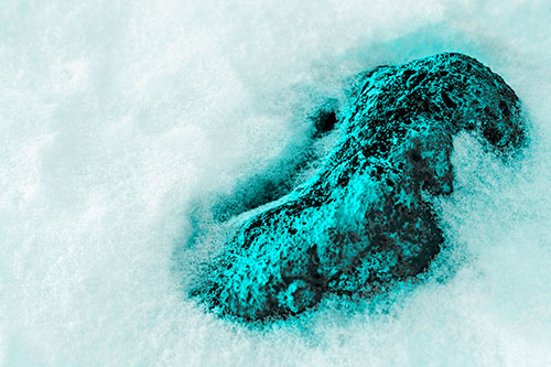 Rock Emerging From Melting Snow (Cyan Tone Photo)