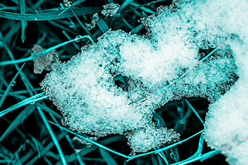 Sad Melting Grass Tangled Snow Face (Cyan Tone)