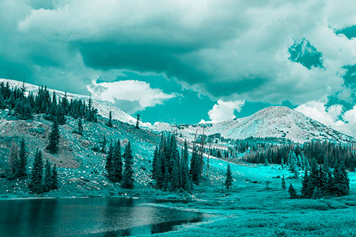 Scattered Trees Along Mountainside (Cyan Tone Photo)