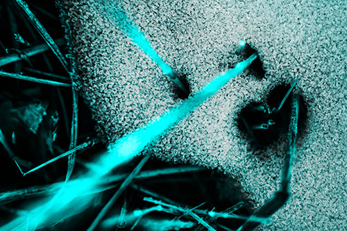 Screaming Illuminated Grass Piercing Snow Face (Cyan Tone)