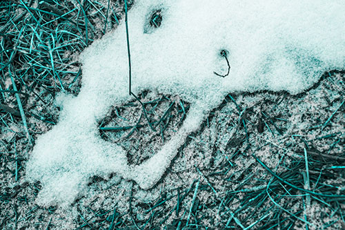 Screaming Stick Eyed Snow Face Among Grass (Cyan Tone Photo)