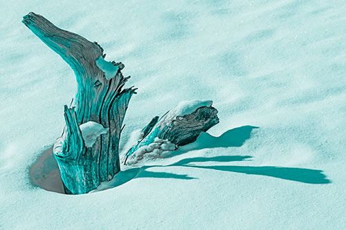 Shadow Casting Tree Trunk Waving Among Snow (Cyan Tone)