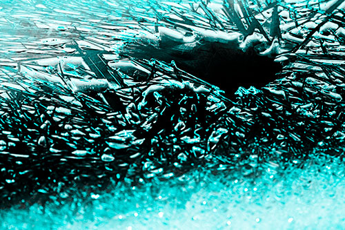 Shattered Ice Crystals Surround Water Hole (Cyan Tone Photo)