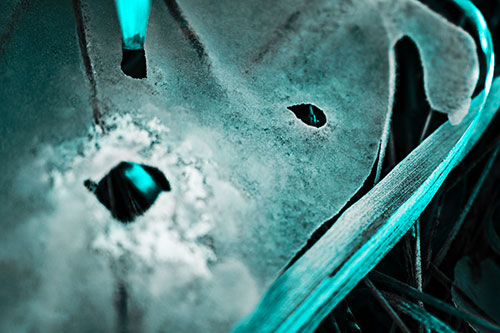 Shocked Peeling Grass Eyed Ice Face (Cyan Tone)