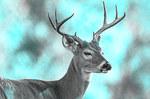 Sleepy White Tailed Deer Dreaming Among Trees (Cyan Tone)