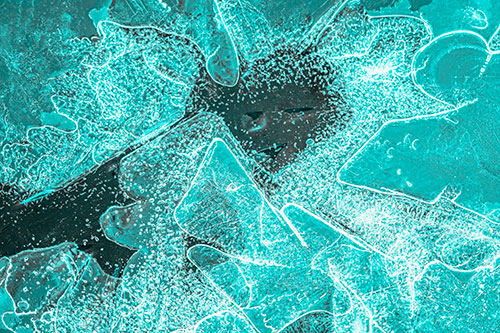 Smug Ice Face Among Frozen River Water (Cyan Tone Photo)