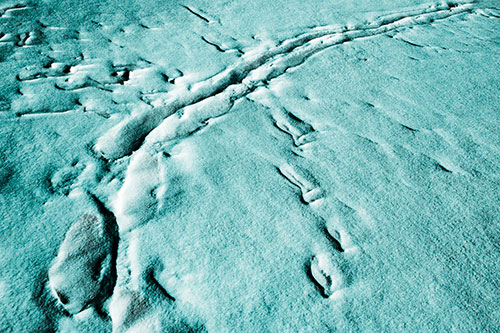 Snow Drifts Cover Footprint Trails (Cyan Tone Photo)