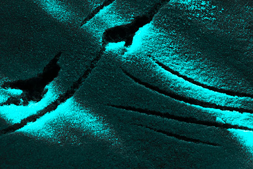 Snowy Bird Footprint Claw Marks (Cyan Tone)