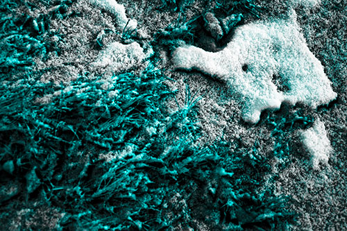 Snowy Grass Forming Demonic Horned Creature (Cyan Tone Photo)
