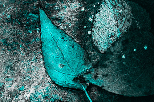 Soggy Cannibal Leaf Face Chewing Another Leaf (Cyan Tone)
