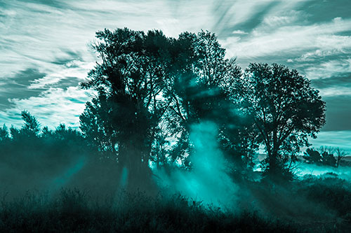 Sunlight Rays Burst Through Fog Surrounded Trees (Cyan Tone Photo)