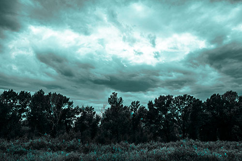 Thunderstorm Clouds Brewing Above Tree Line (Cyan Tone)