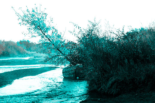 Tilted Fall Tree Over Flowing River (Cyan Tone Photo)