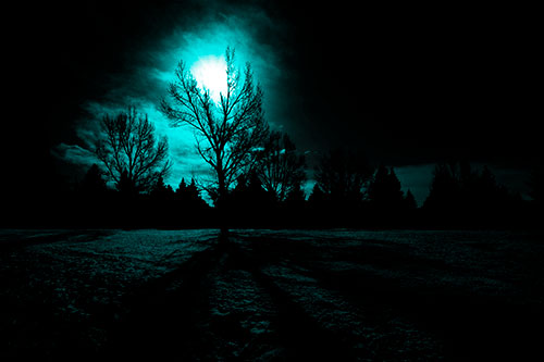Tree Silhouette Holds Sun Among Darkness (Cyan Tone Photo)