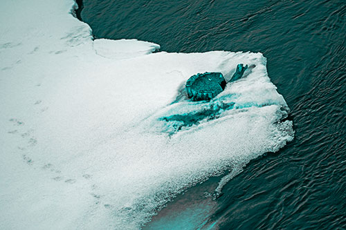 Tree Stump Eyed Snow Face Creature Along River Shoreline (Cyan Tone Photo)