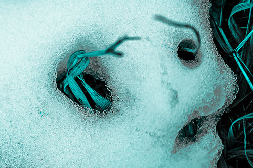 Twisting Grass Eyed Snow Face (Cyan Tone Photo)