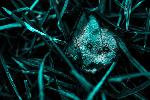 Upset Decaying Leaf Face Hiding Among Twisting Grass Blades (Cyan Tone)
