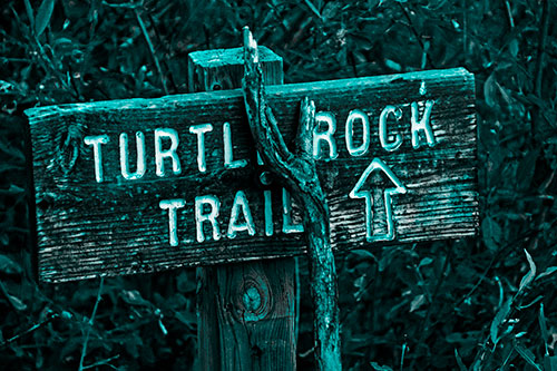 Wooden Turtle Rock Trail Sign (Cyan Tone Photo)