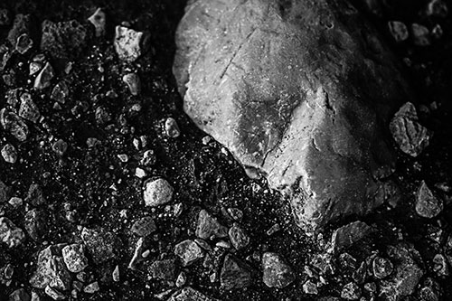 Alien Skull Rock Face Emerging Atop Dirt Surface (Gray Photo)