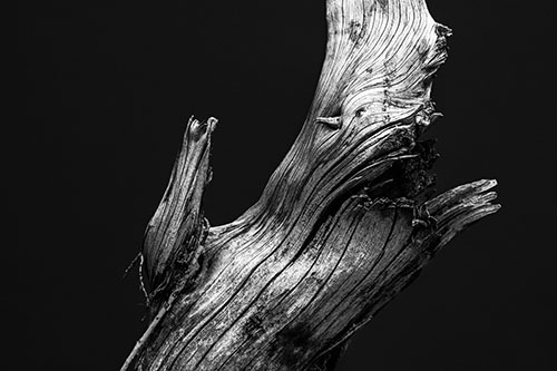 Angry Blood Stained Tree Trunk Creature Raising Fist (Gray)