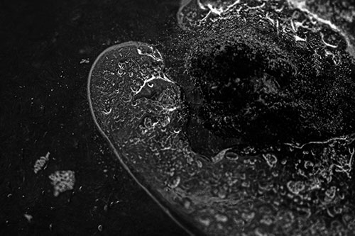 Angry Eyebrow Raised Ice Bubble Creature Bending Beside Mossy Rock (Gray)