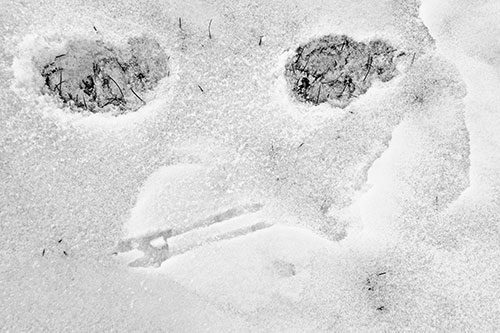 Beak Mouthed Footprint Face Among Snow (Gray)