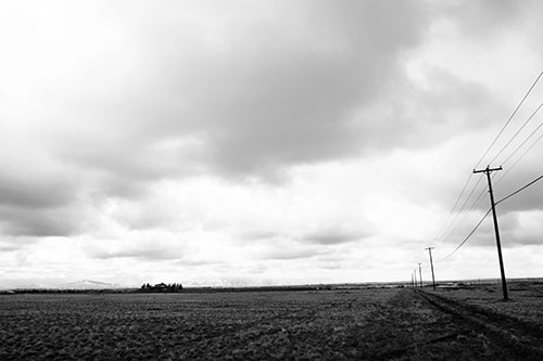 Bleak Clouded Sky Consumes Powerline Prairie (Gray Photo)