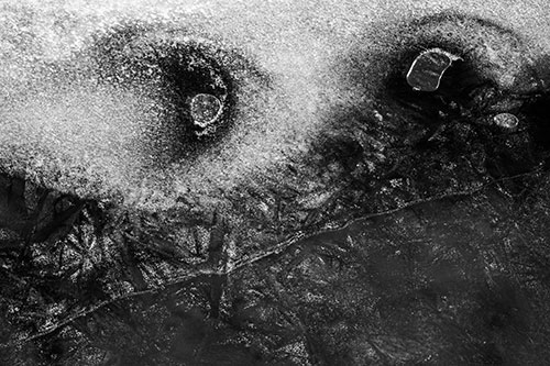Bubble Eyed Smirk Cracking River Ice Face (Gray Photo)