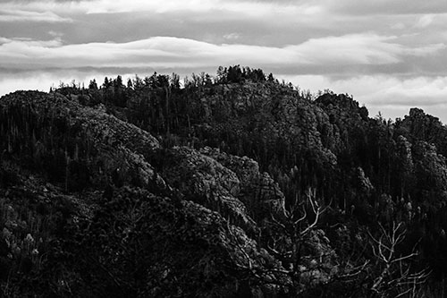 Cloudy Summit Trailhead Mountain Top (Gray Photo)