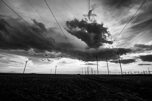 Creature Cloud Formation Above Powerlines (Gray Photo)