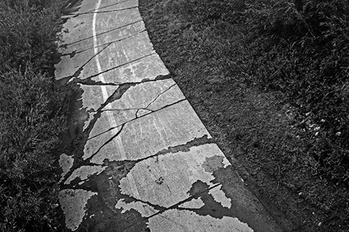 Curving Muddy Concrete Cracked Sidewalk (Gray Photo)