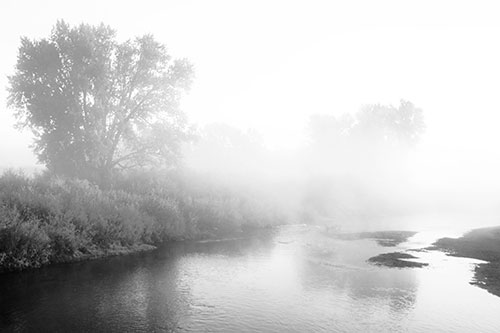 Dense Fog Blankets Distant River Bend (Gray Photo)