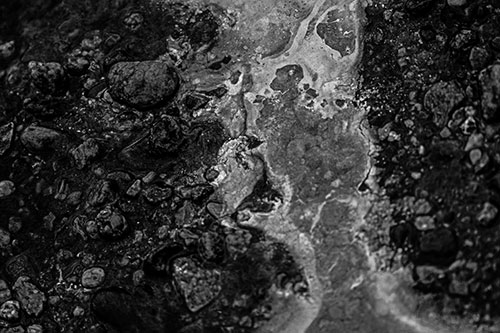 Distorted Oil Face Smearing Among Rocky Shore (Gray)