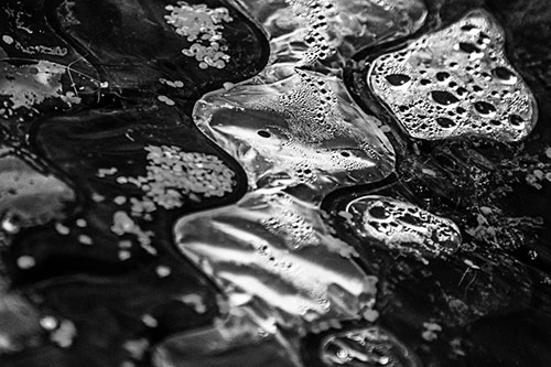 Distorted Plastic Bubble Face Floating Atop Water (Gray)