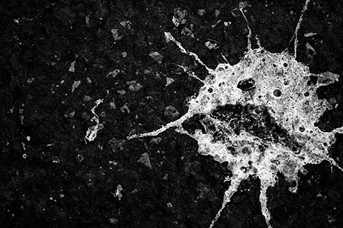 Distressed Bird Excrement Face Splattered Among Pavement (Gray)